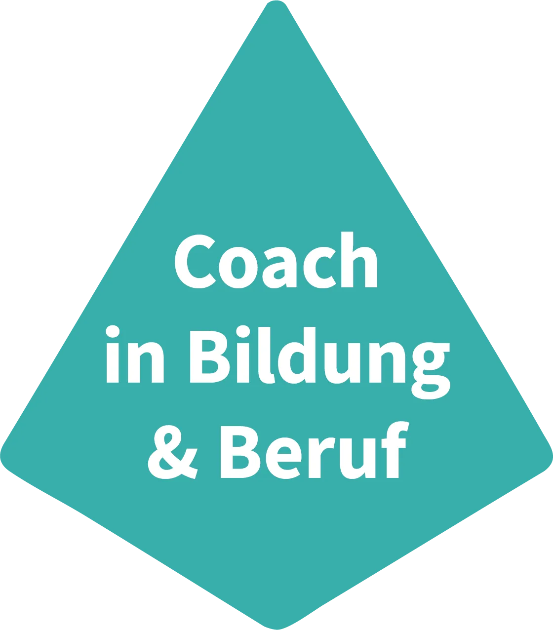 DNO – Der Fachdozent – ​​Von der AEVO bis zum CoBB-Coach – Ihr Weg in die Bildungsprofession.